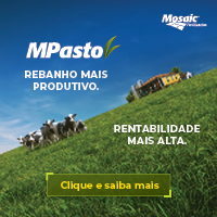 MPasto
