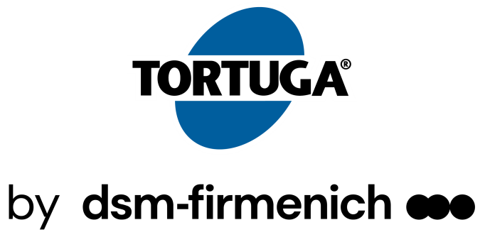 Tortuga